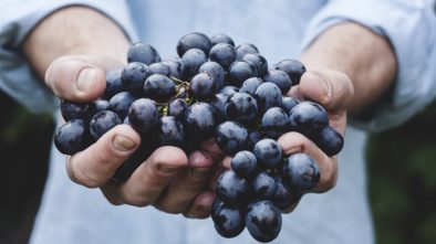 Navštivte až do poloviny dubna Nature-Future: Rostliny budoucnosti